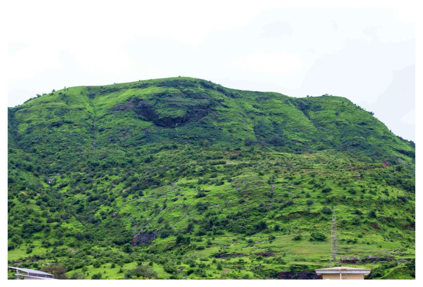 Salt Life Villa Lonavala Eksteriør bilde
